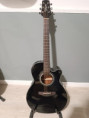 /album/chitarra-acustica-elettrificata-takamine-gn30ce-blk/whatsapp-image-2026-03-10-at-19-20-49-jpeg/